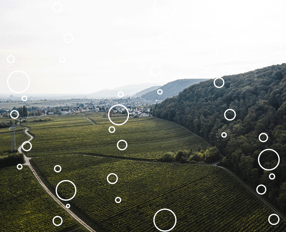 PFÄLZER FLASCHENGÄRSZENE – Rohstoff 2016 Wein GmbH